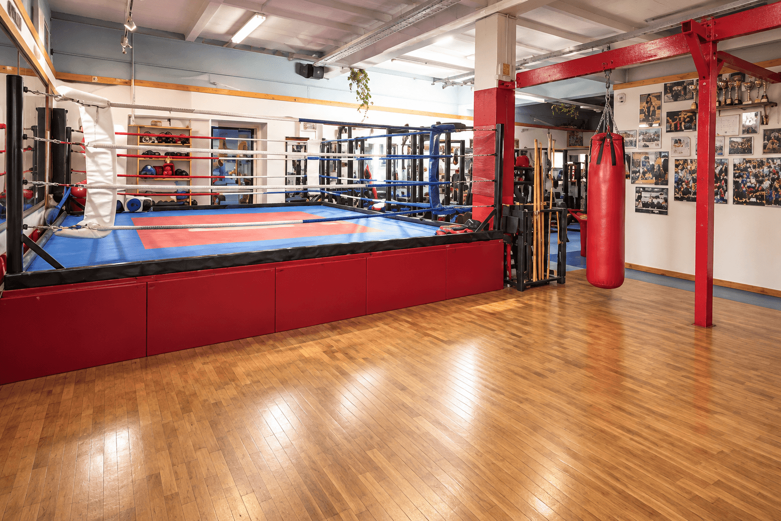 Boxring der Kung Fu und Fitness Schule Bahrenfeld